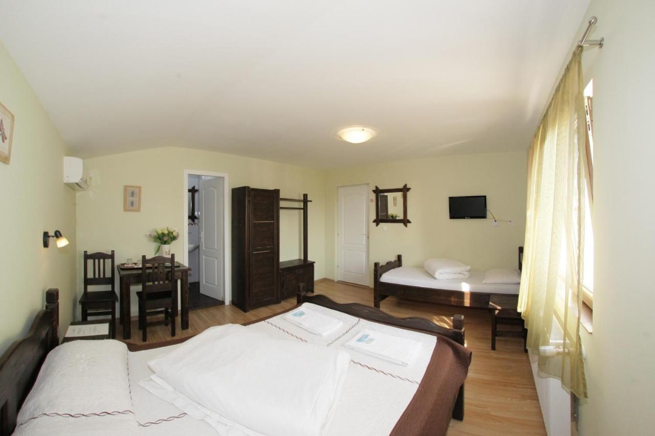 Casa Oana Hotel Iasi Cameră foto
